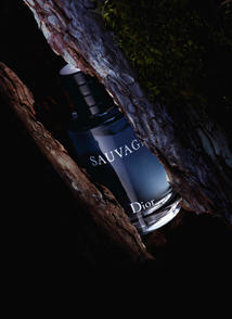 Dior Sauvage Fann Sk Internetova Parfumeria