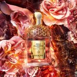 Guerlain Aqua Allegoria Woody Forte Rosa Palissandro parfumovaná voda 125 ml